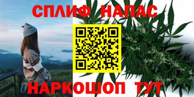гидропоника Кунгур