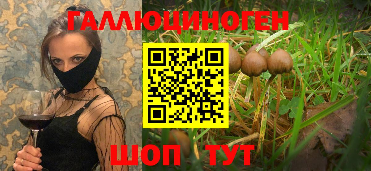 Псилоцибиновые грибы GOLDEN TEACHER  дарнет шоп  Галлюциногенные грибы мицелий  Калининград  Вход с VPN 