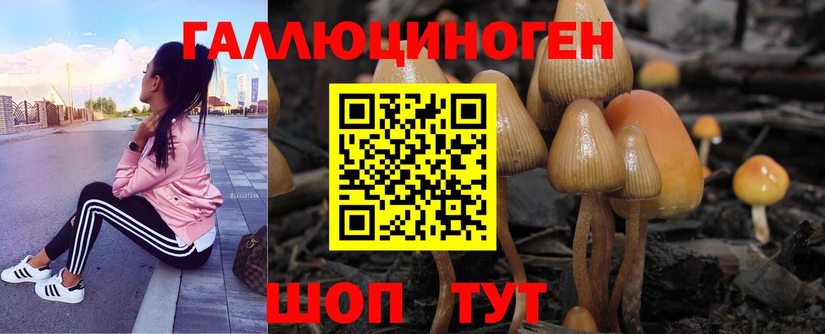 Галлюциногенные грибы Cubensis Калининград